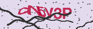 Code captcha