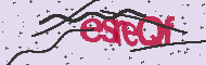Code captcha